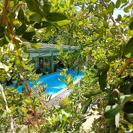 Silk Island Homestay Phnom-Penh Buitenkant foto