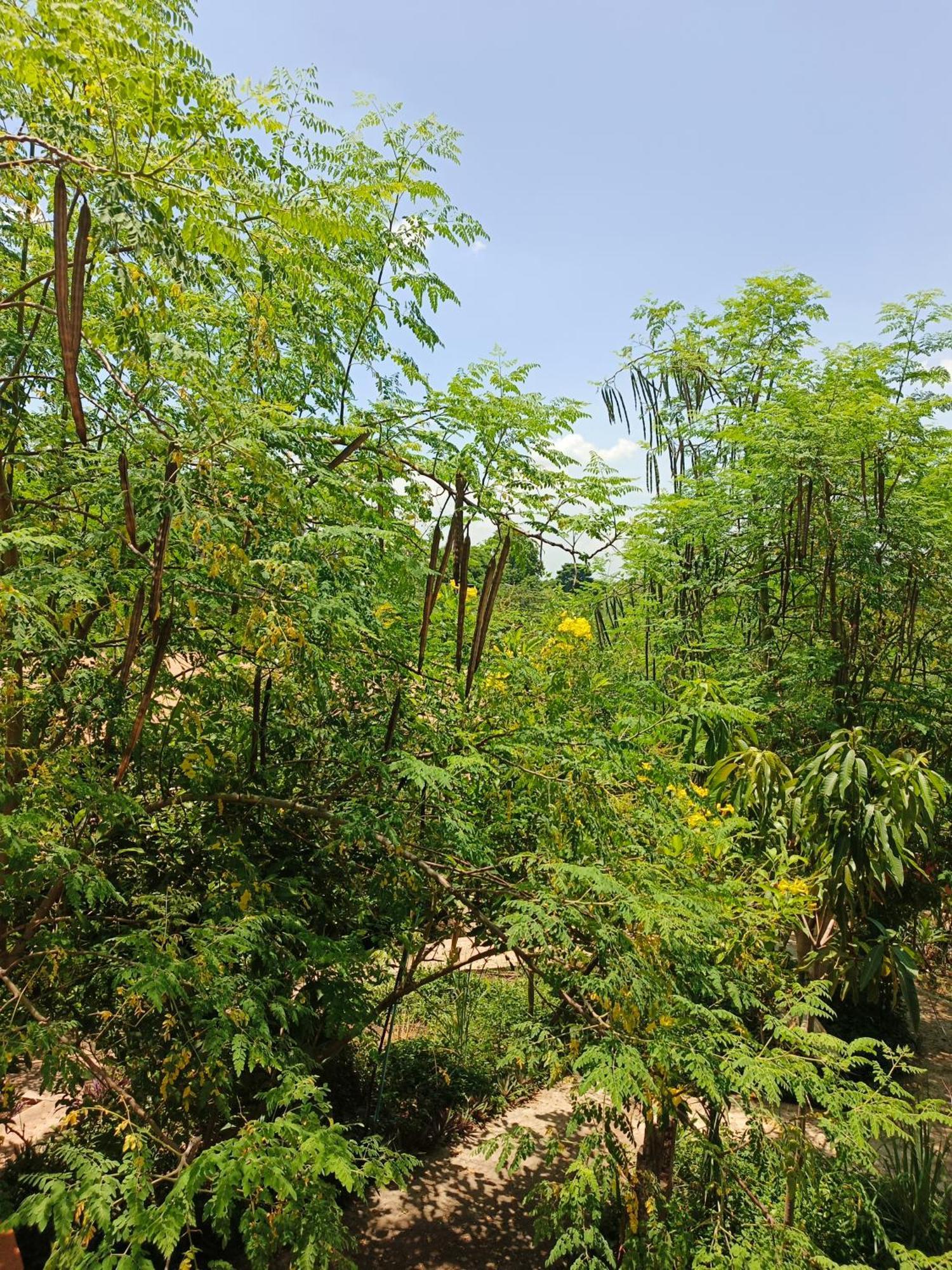 Silk Island Homestay Phnom-Penh Buitenkant foto